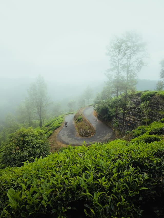 Wayanad Hill Station