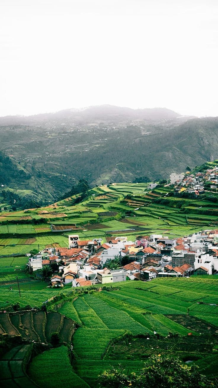 Green valley and misty mountain scenery