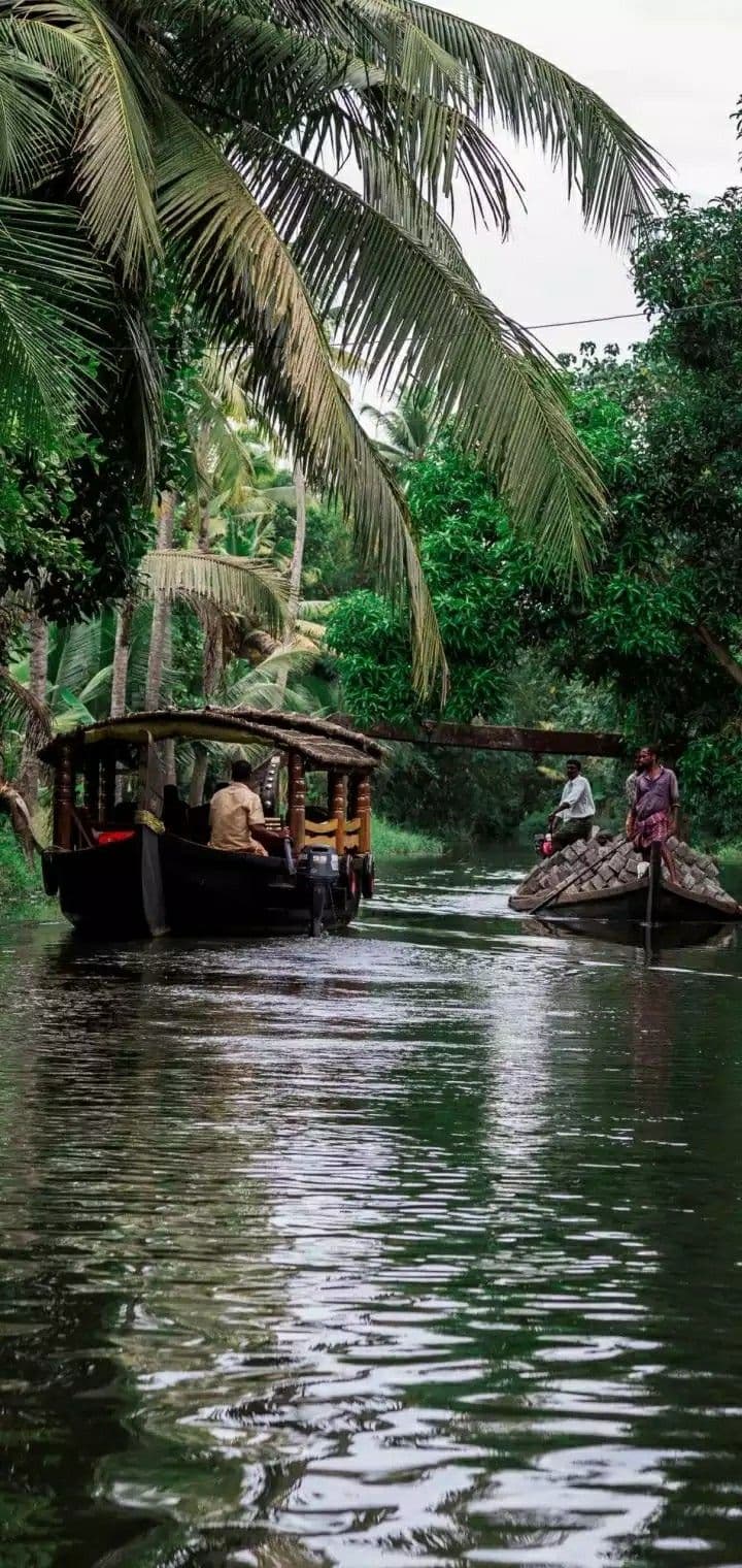 Palm-lined village canal in Kerala