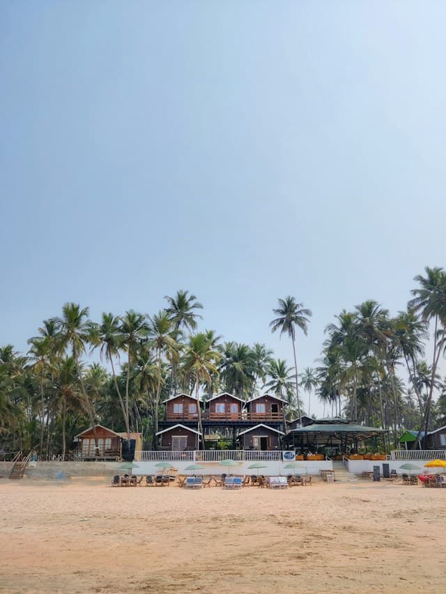 Palm trees along a tropical Goan coastline