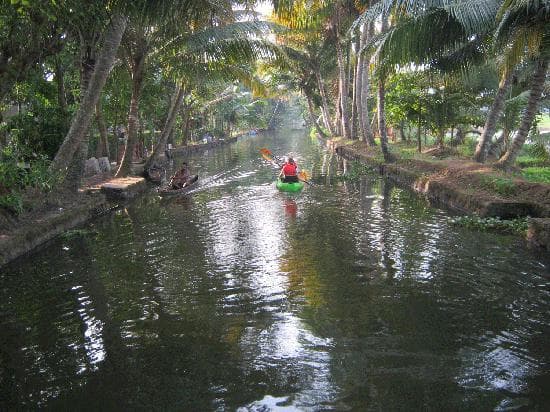 Narrow canal surrounded by coconut palms