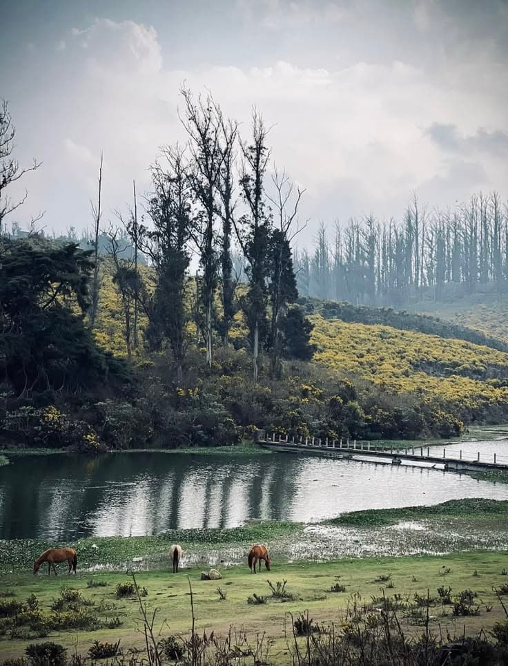 Ooty 3 Days Hill Station Tour