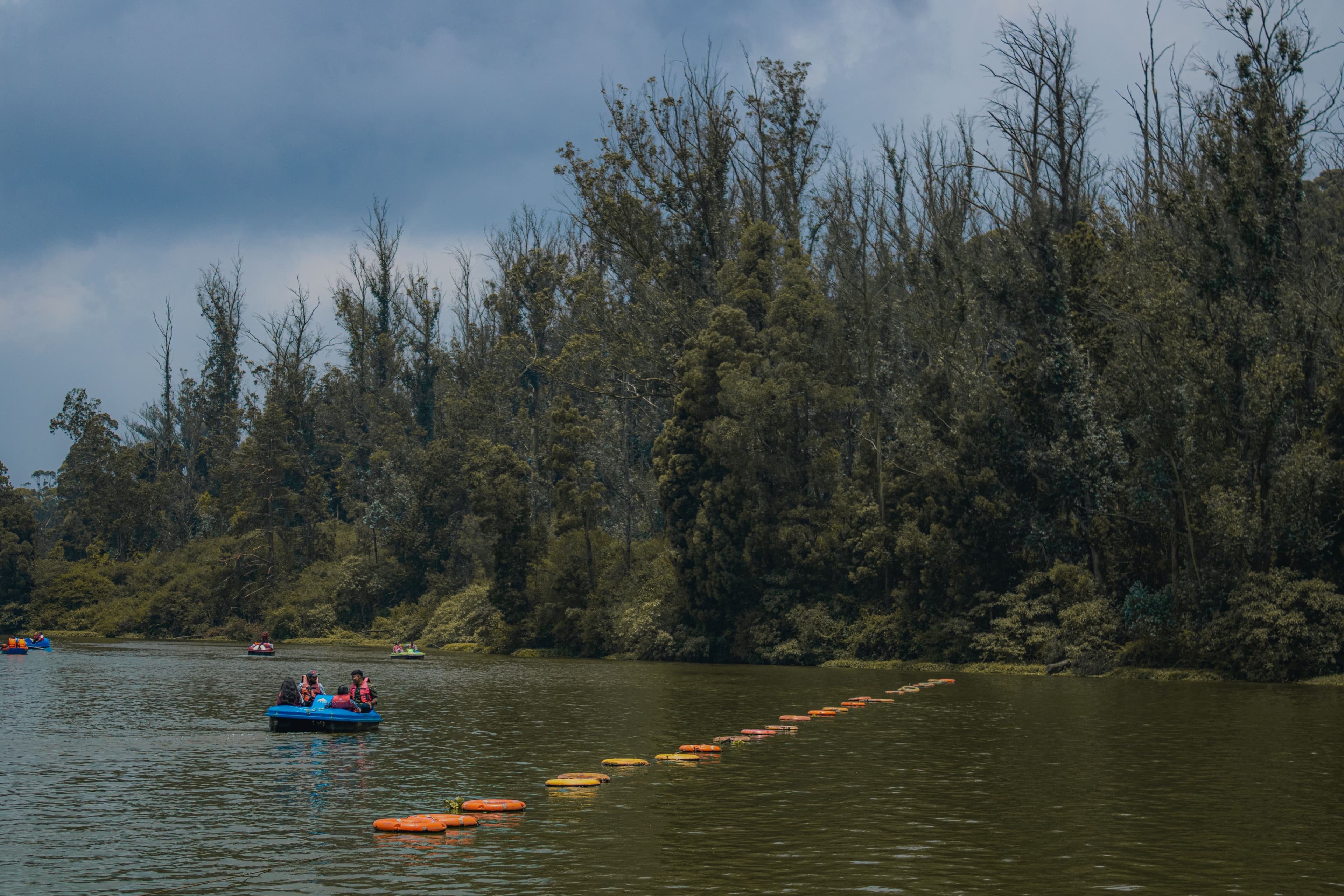 Ooty Lake surrounded by trees