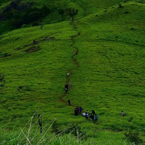 Wayanad