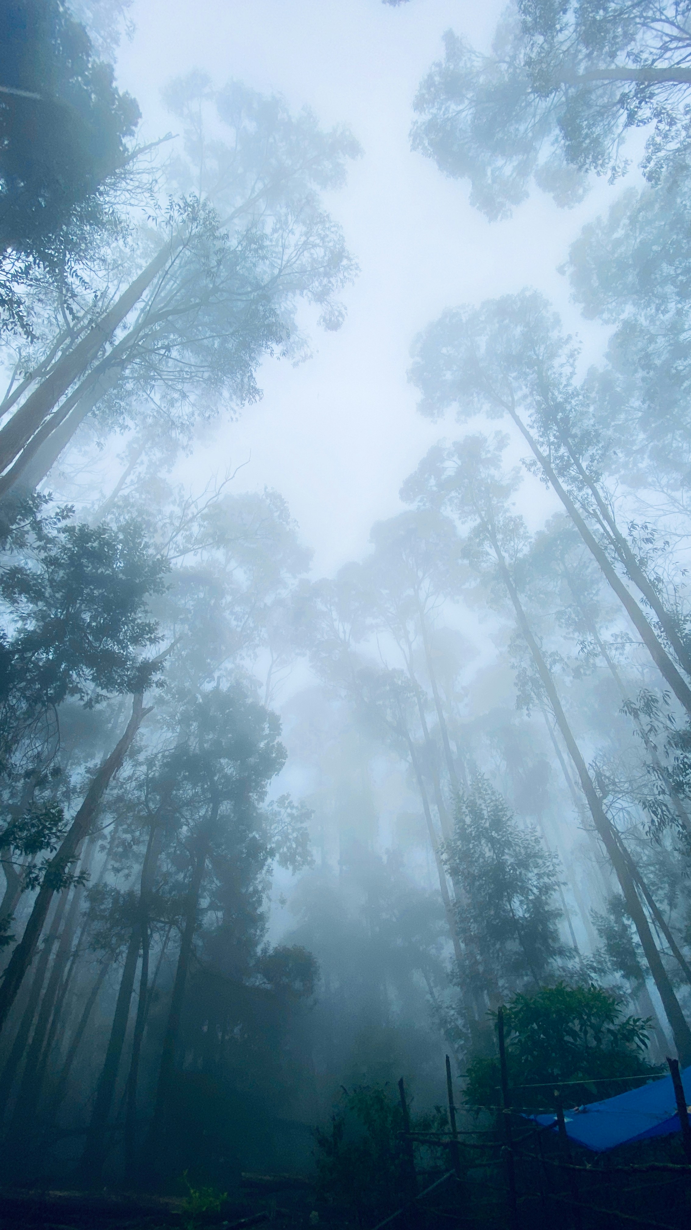 Kodaikanal Break