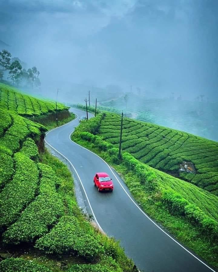 Wayanad Getaway